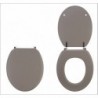 ABATTANT COLORS LINE TAUPE MAT