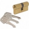 CYLINDRE TESA 60 MM - 30X30MM LAITON