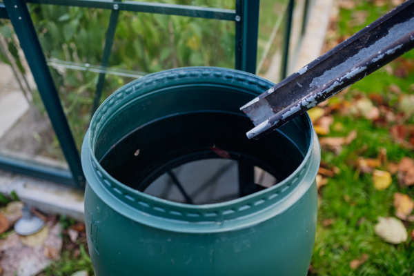 La pluie ne manque pas en Guyane, l'eau du jardin non plus : équipez votre jardin